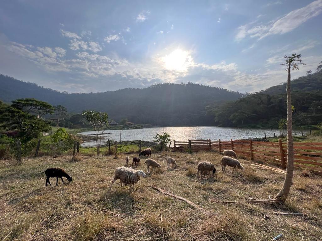 Casa rural Fazenda Upa Mona Vassouras
