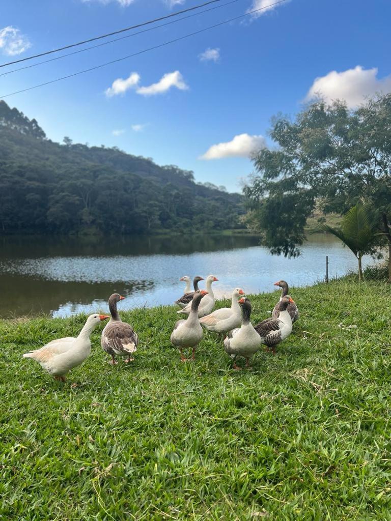 Fazenda Upa Mona *