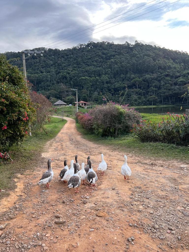 Fazenda Upa Mona * Vassouras