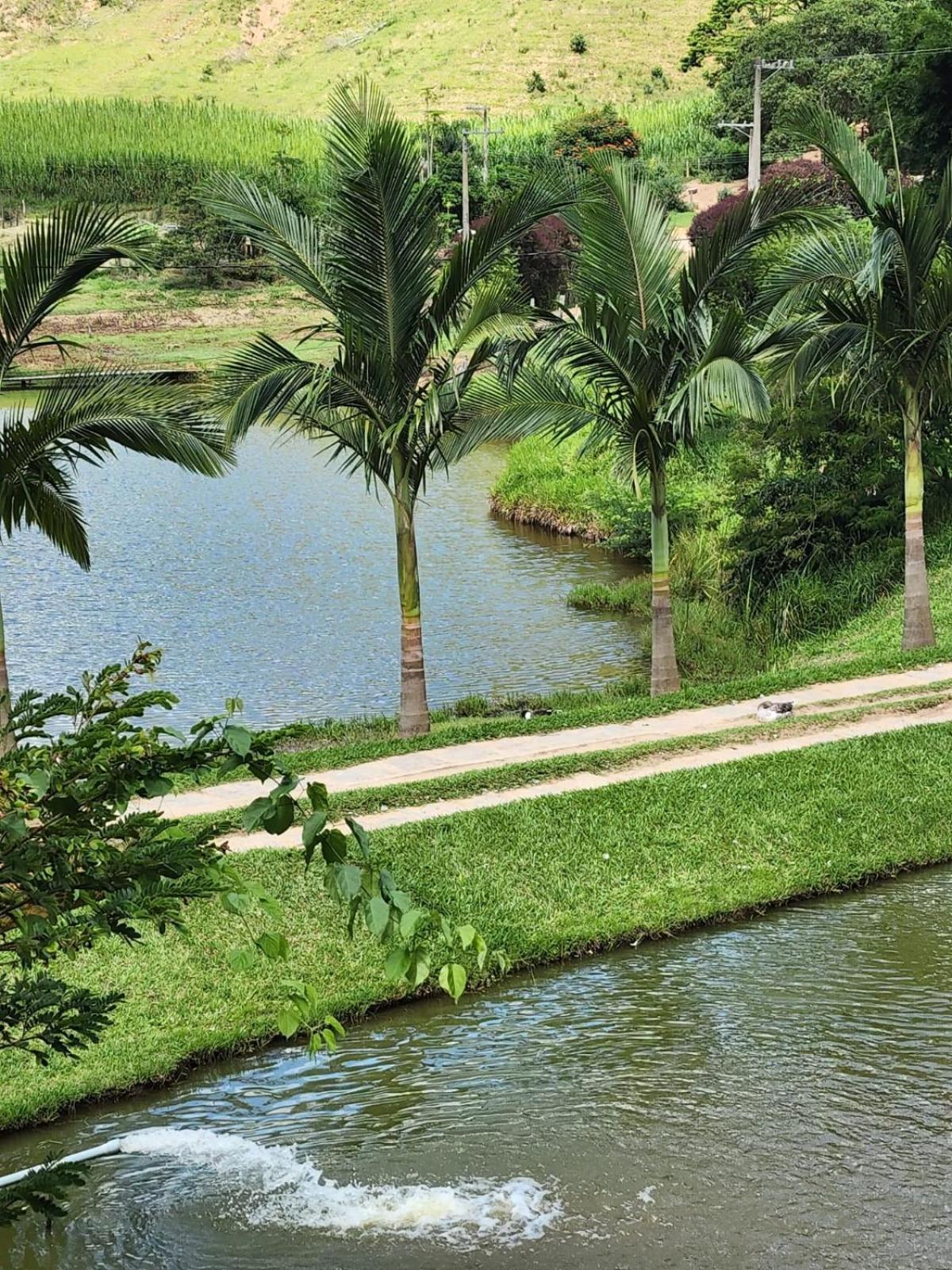Fazenda Upa Mona *